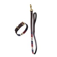 Chukka Dog Set Rot-Navy S