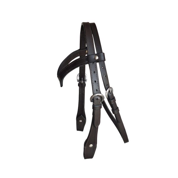 Shetty-Westernzaum "Tiny Winni"