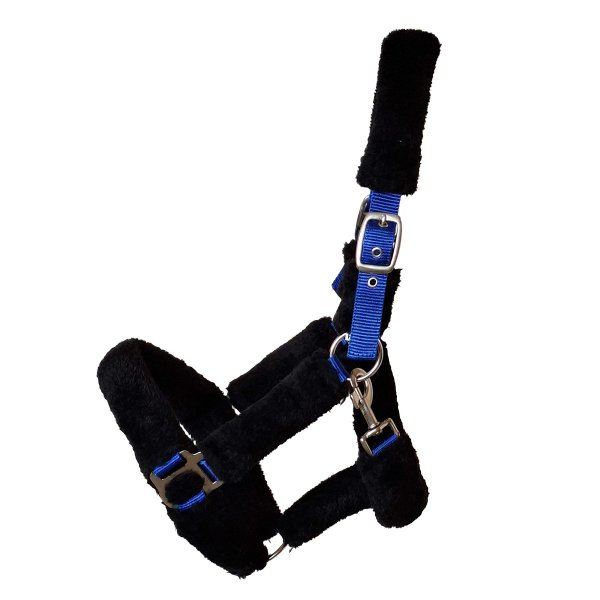 Kunststoffhalfter "Protect"