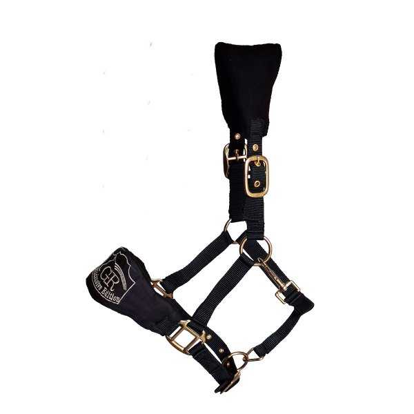 Fleecehalfter "Exclusive Collection" Gold Schwarz-Braun Pony