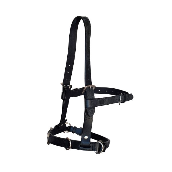 Lederkappzaum "Basic" Pony