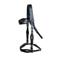 Barockzaum "Sorraia"