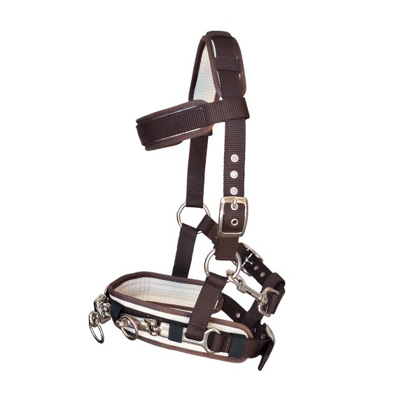 Kappzaum "Classic Fit"