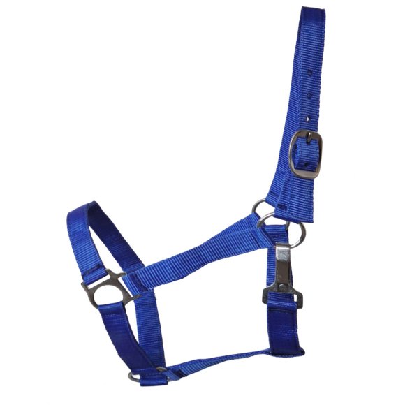 Stall- und Weidehalfter Standard XFull royalblau