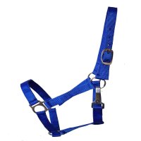Stall- und Weidehalfter Standard XFull royalblau