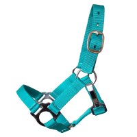 Stall- und Weidehalfter Standard teal XFull