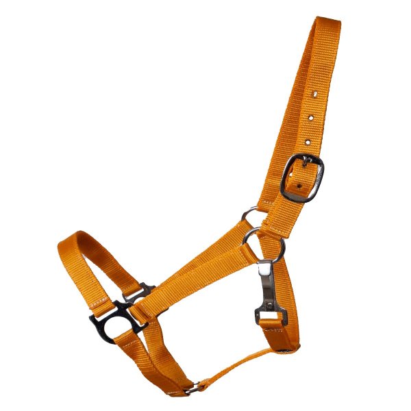 Stall- und Weidehalfter Standard orange Pony