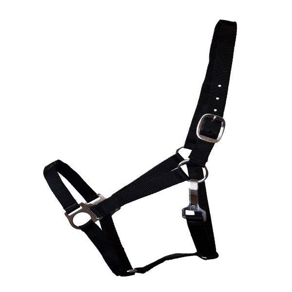 Stall- und Weidehalfter Standard Pony schwarz