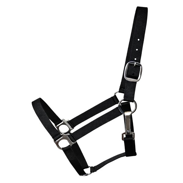 Stall- und Weidehalfter Standard schwarz Pony