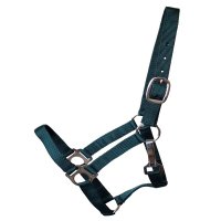 Stall- und Weidehalfter Standard Cob dunkelgrün