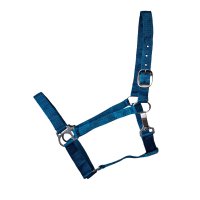 Stall- und Weidehalfter Standard türkis Shetty