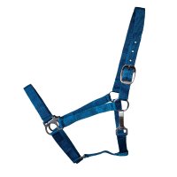 Stall- und Weidehalfter Standard Cob türkis