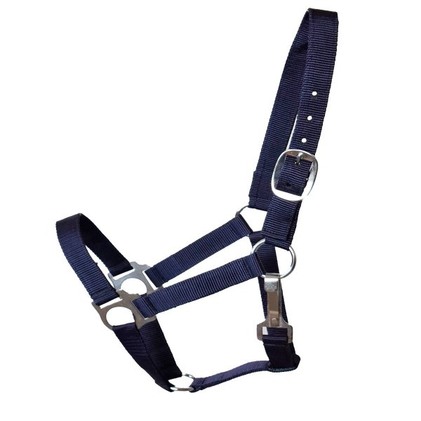 Stall- und Weidehalfter Standard navy XFull