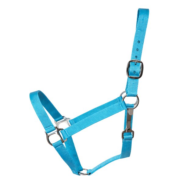 Stall- und Weidehalfter Standard hellblau Cob