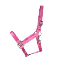 Kunststoffhalfter "Basic" Pink Shetty