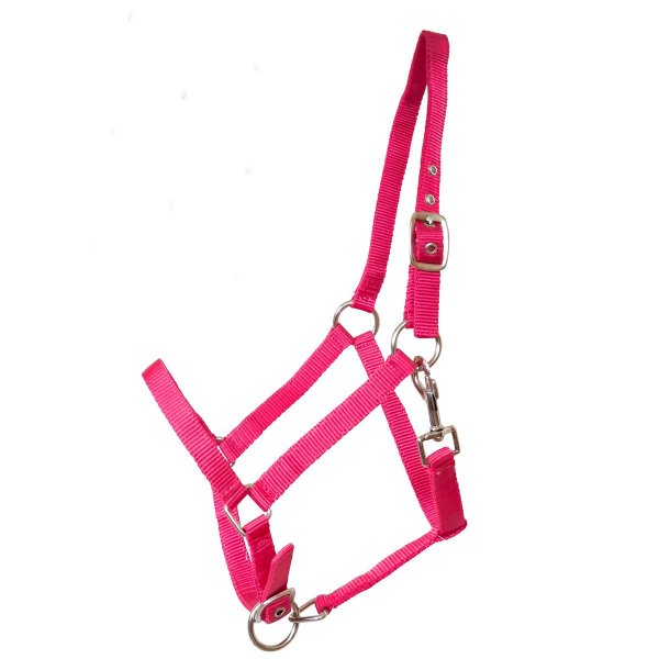 Kunststoffhalfter "Basic" Magenta Pony