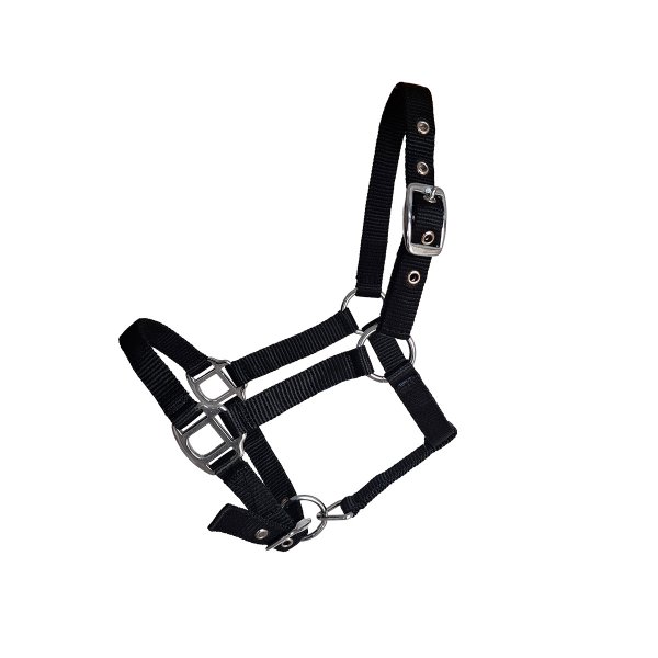 Minihalfter "Petit" schwarz Gr. 1