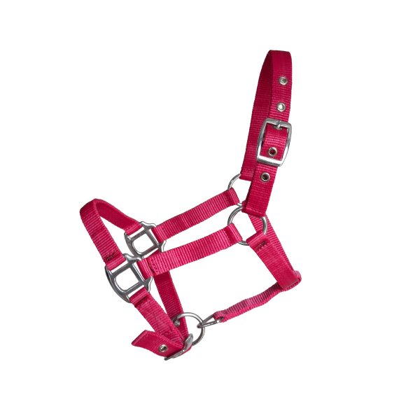 Minihalfter "Petit" pink Gr. 4
