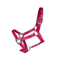 Minihalfter "Petit" pink Gr. 4
