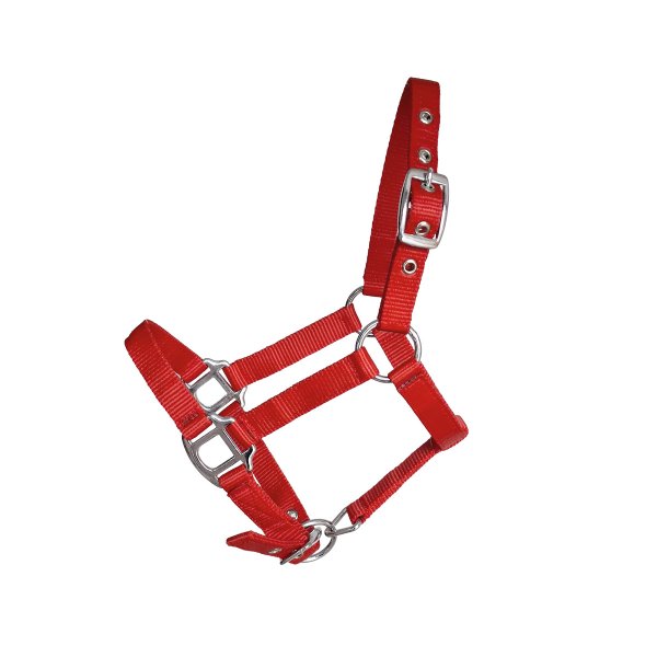 Minihalfter "Petit" rot Gr. 1