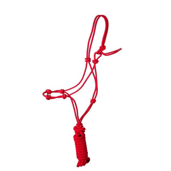Knotenhalfter "4 Knoten" inkl. Strick rot