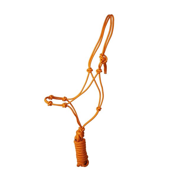 Knotenhalfter "4 Knoten" inkl. Strick orange