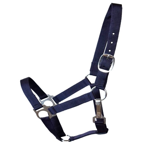 Stall- und Weidehalfter Standard navy Full