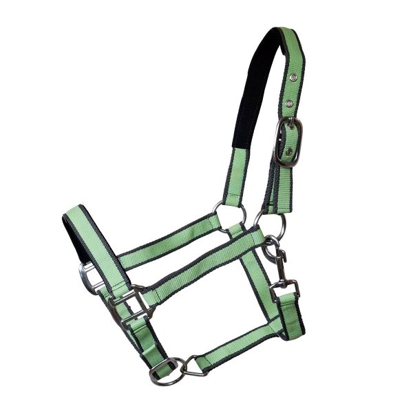 Kunststoffhalfter "Paddock Bicolor" Grau-Apfelgrün Pony