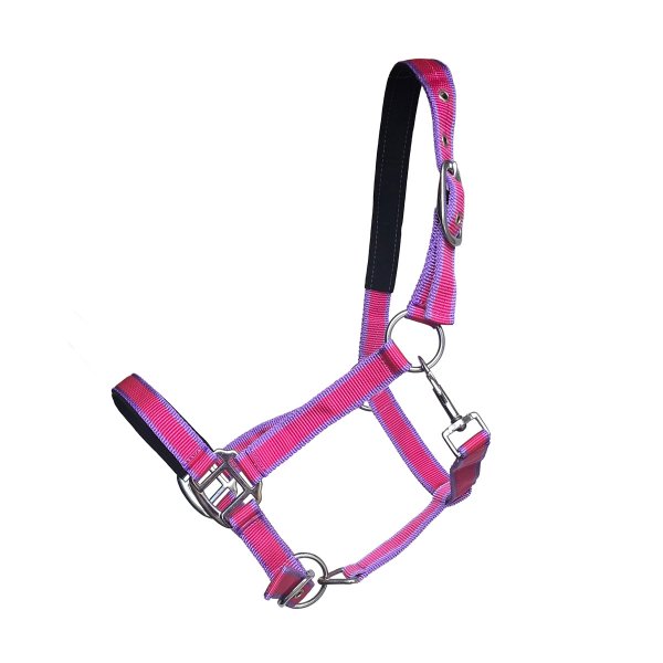 Kunststoffhalfter "Paddock Bicolor" Helllila-Rot Pony