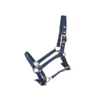 Fohlenhalfter 3-fach verstellbar Blau