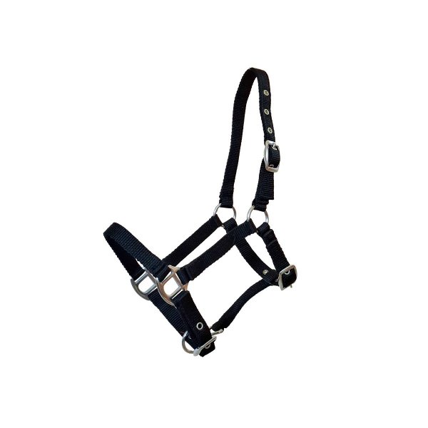 Fohlenhalfter 3-fach verstellbar Schwarz