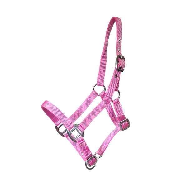 Fohlenhalfter 3-fach verstellbar Pink