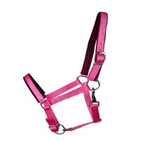 Kunststoffhalfter "Basic" unterlegt Shetty pink