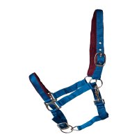 Kunststoffhalfter "Basic" unterlegt Pony...