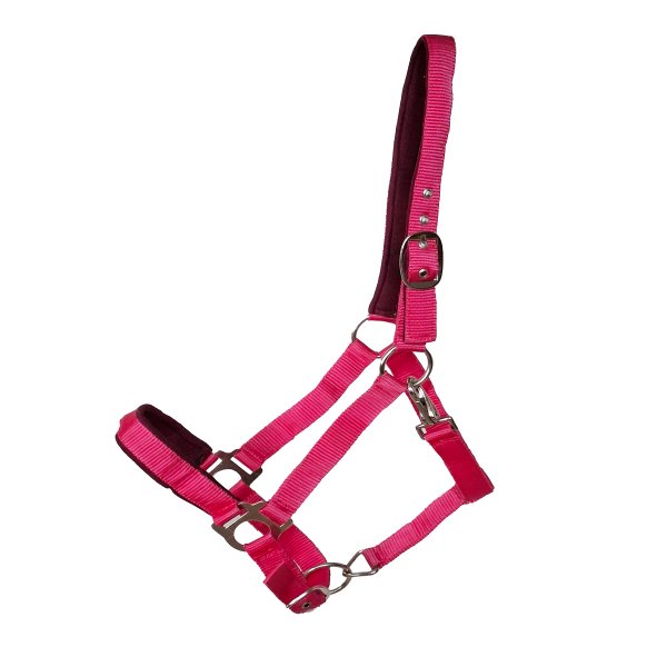 Kunststoffhalfter "Basic" unterlegt Pony magenta