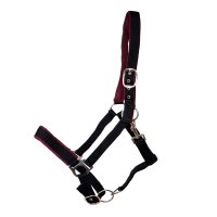 Kunststoffhalfter "Basic" unterlegt Cob schwarz