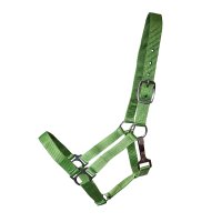 Stall- und Weidehalfter Standard limette Shetty