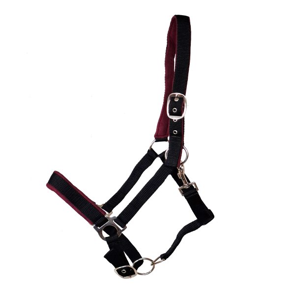 Kunststoffhalfter "Basic" unterlegt Full schwarz