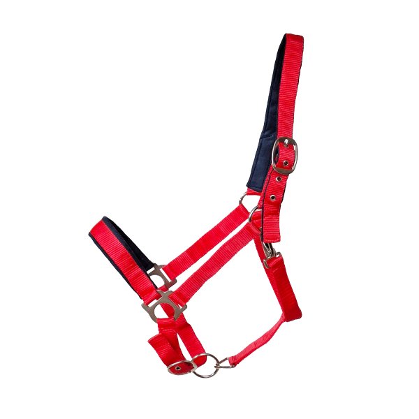 Kunststoffhalfter "Basic" unterlegt Full rot