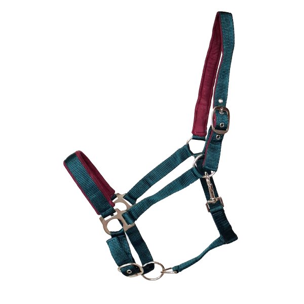 Kunststoffhalfter "Basic" unterlegt Full grün