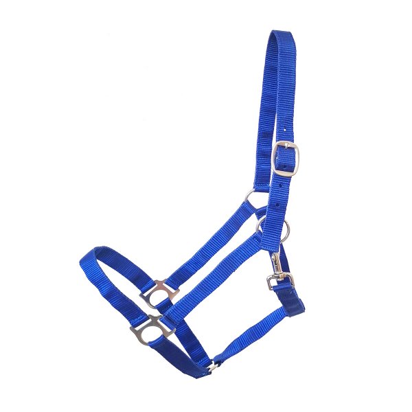 Kunststoffhalfter "Economic" Royalblau Full