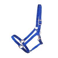 Kunststoffhalfter "Economic" Royalblau Full