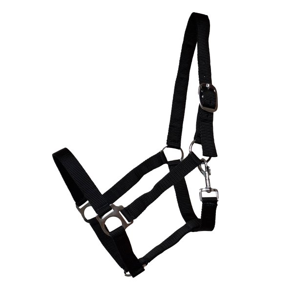Kunststoffhalfter "Meadow" schwarz Cob