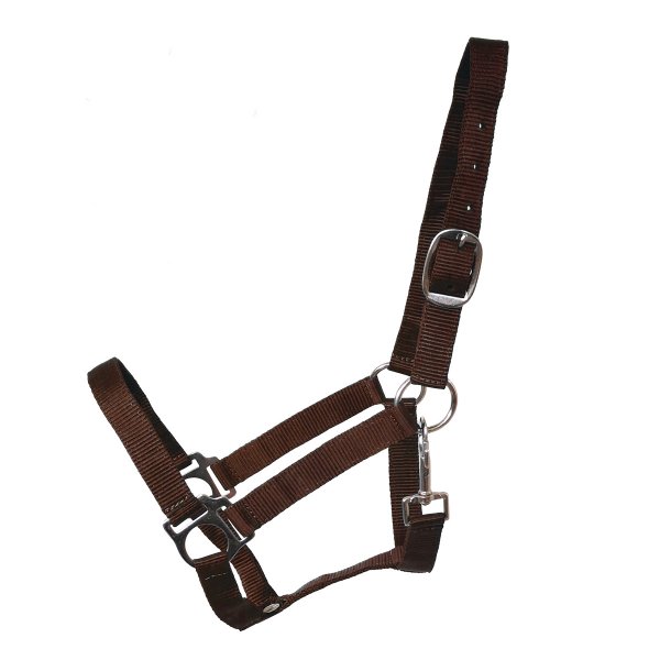 Kunststoffhalfter "Meadow" mocca Pony