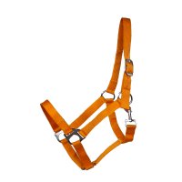 Kunststoffhalfter "Meadow" orange XXFull