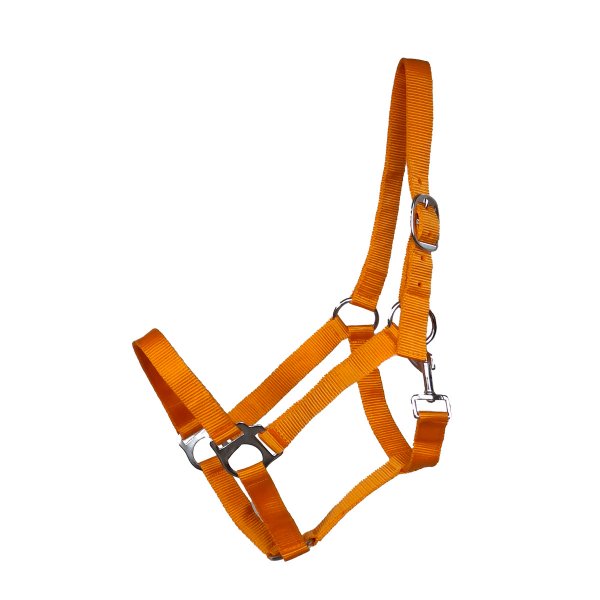 Kunststoffhalfter "Meadow" orange XXXFull