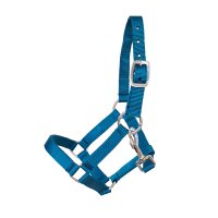 Kunststoffhalfter "Meadow" türkis Minishetty