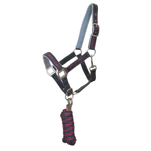 Halfterset "Starlet" Grau Full