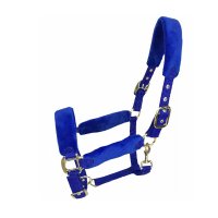 Gepolstertes Nylonhalfter - FOB Indien