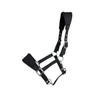 Premium gepolstertes Nylonhalfter - ab Lager...